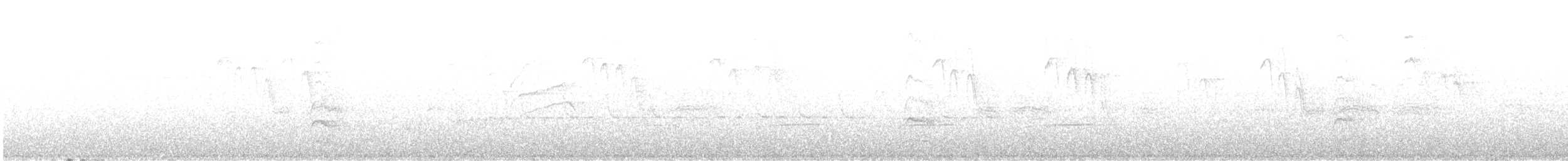 Дятел-смоктун білочеревий - ML581214071