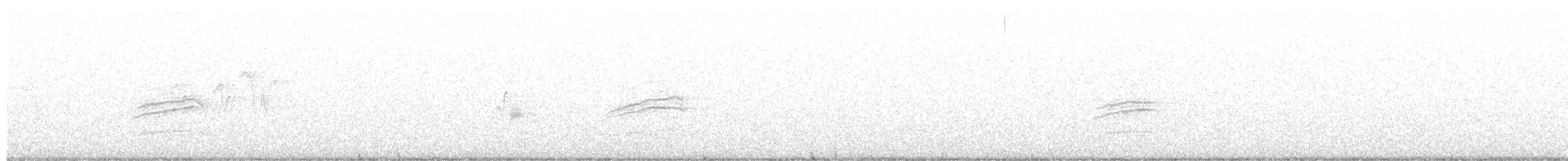 Дрозд-отшельник - ML581222981