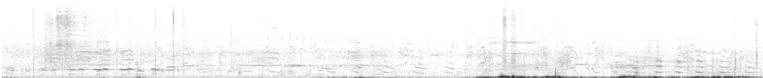 Gallinule d'Amérique - ML581228411