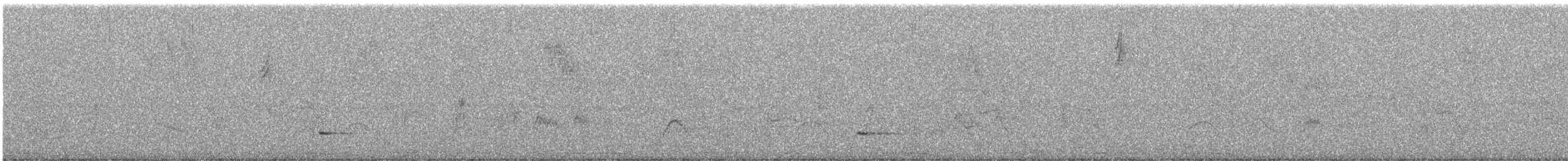 Tinamou à petit bec - ML581239421