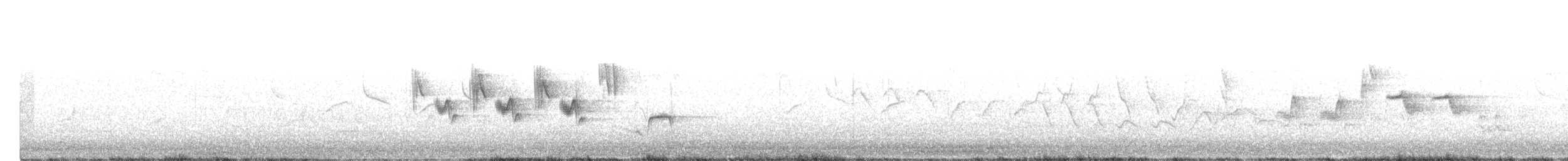 svarthvit fluesnapper - ML581266161