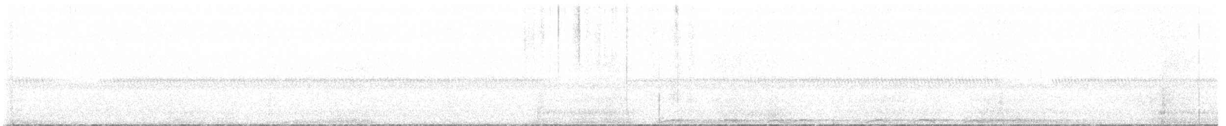 Barred Owl - ML581308871