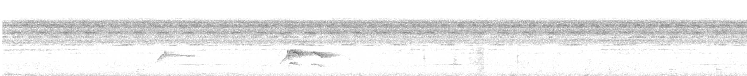 Пестрохвостая пипра - ML581317661