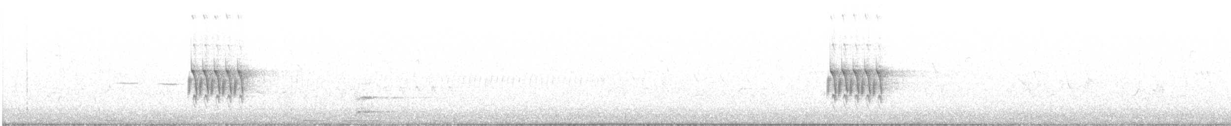 Тауї плямистий - ML581343801