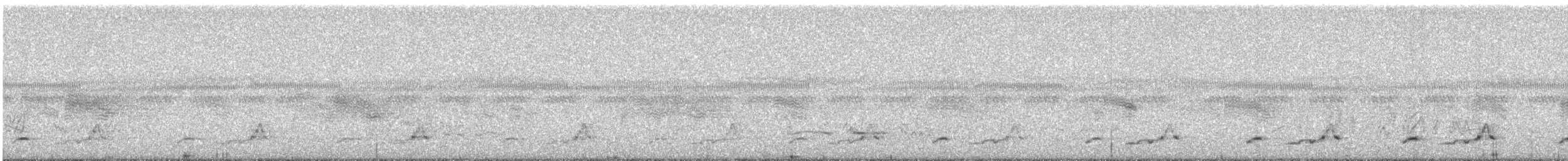 Schwarzkehl-Nachtschwalbe - ML581377181