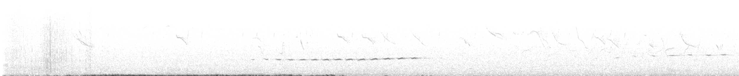 Kestane Sırtlı Çilardıcı - ML581396921