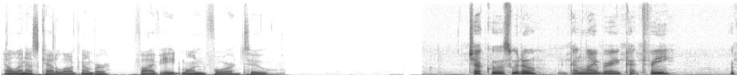 チャックウィルヨタカ - ML58142