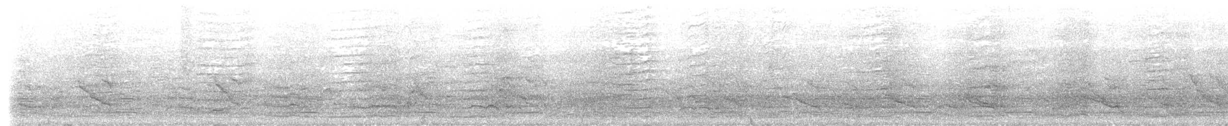 kakadu bělouchý - ML581421351