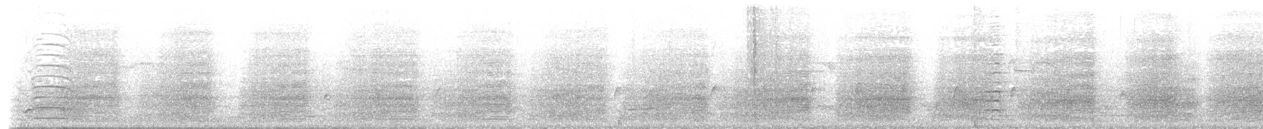 kakadu bělouchý - ML581421361