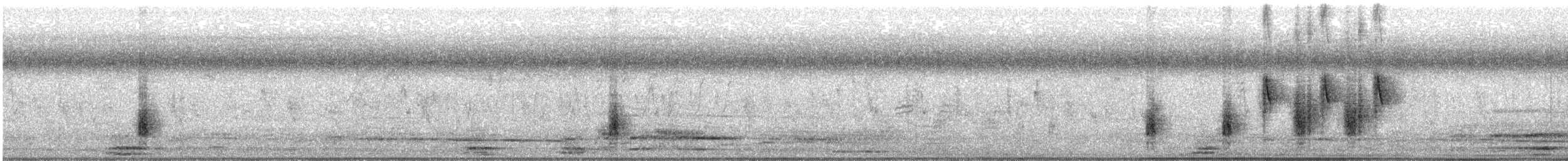Clamorous Reed Warbler - ML581424871
