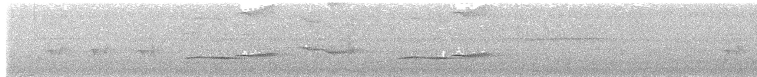 White-tailed Flycatcher - ML581435321