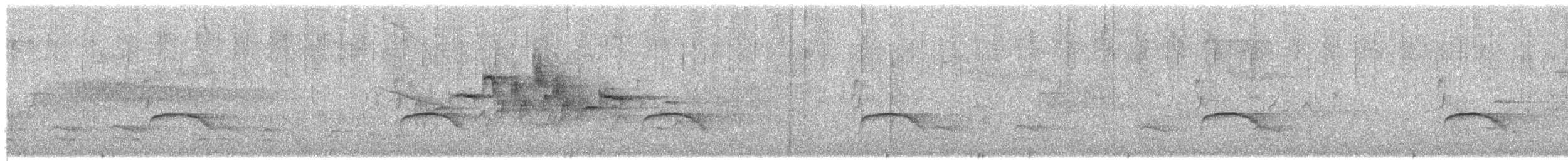 new world warbler sp. - ML581472321