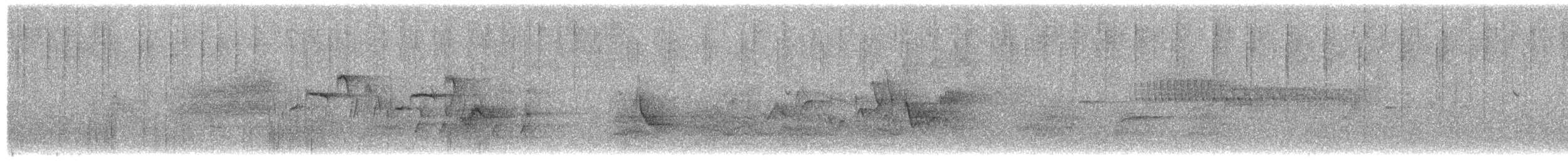 new world warbler sp. - ML581472331