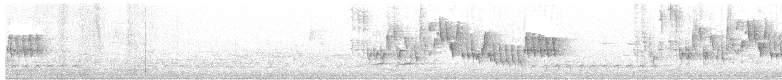 new world warbler sp. - ML58147961