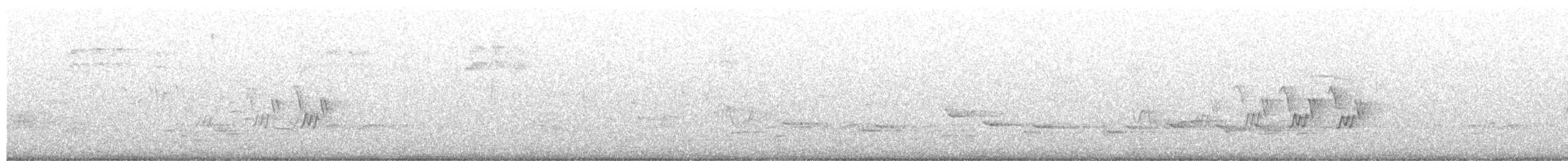 Черногорлая хвойница - ML581495811