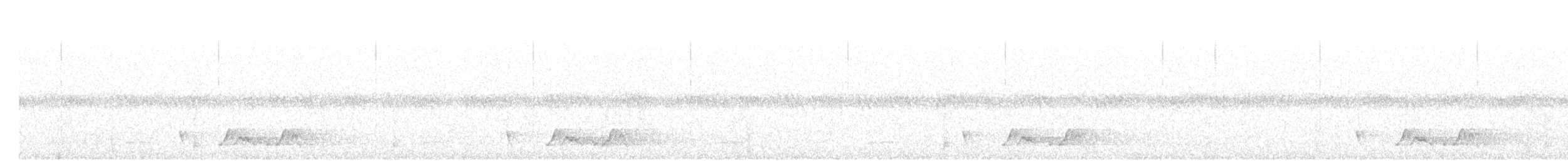 Carolinanachtschwalbe - ML58150561