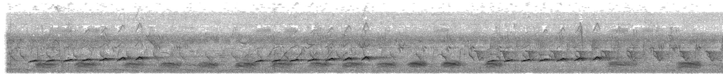 Вилохвостая дронговая кукушка - ML581516541