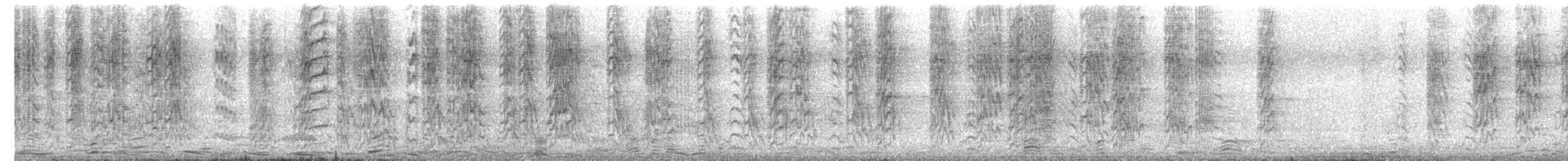 オキナインコ（monachus グループ） - ML581522591