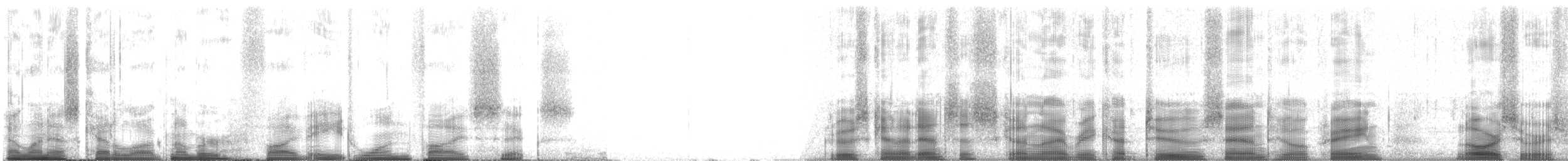 jeřáb kanadský - ML58156
