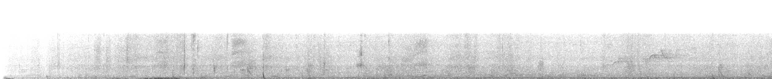 Дрізд-короткодзьоб Cвенсона - ML581562111