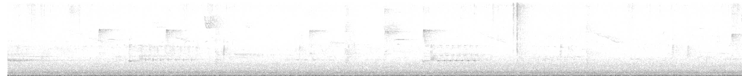 Yumuşak Tüylü Ağaçkakan (pubescens/medianus) - ML581575611