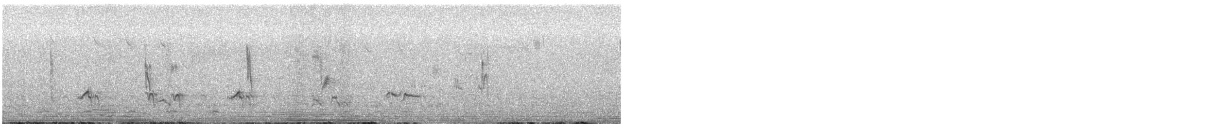 American Robin - ML581576791