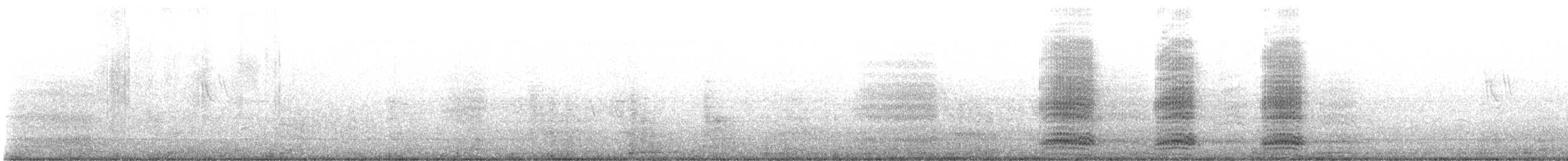 Cuervo Grande - ML581608441
