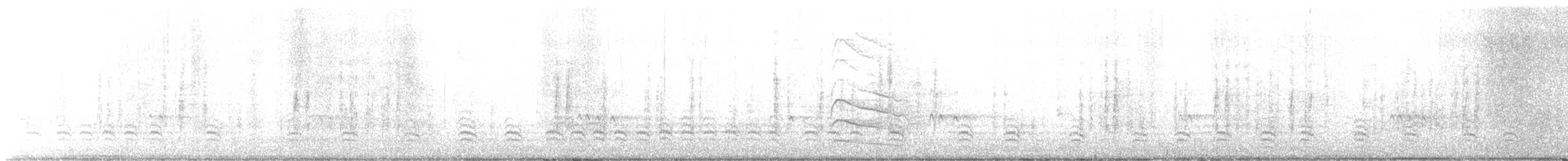 Sittelle à poitrine blanche (carolinensis) - ML581641671