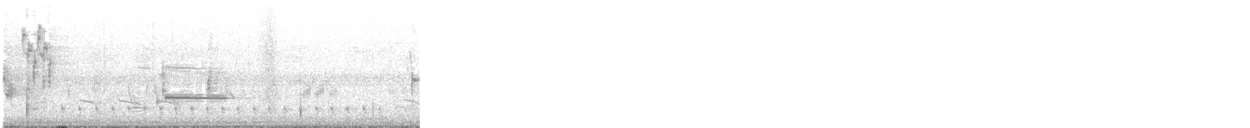 キバシカッコウ - ML581669531