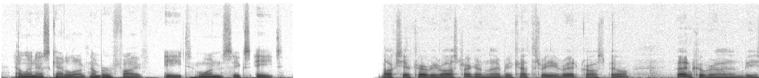 Bec-croisé des sapins - ML58168