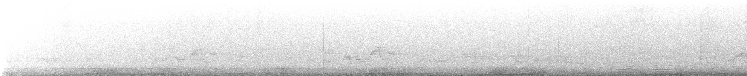Дрізд-короткодзьоб Cвенсона - ML581689971