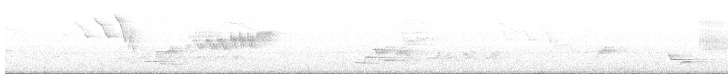 Cerulean Warbler - ML581695031