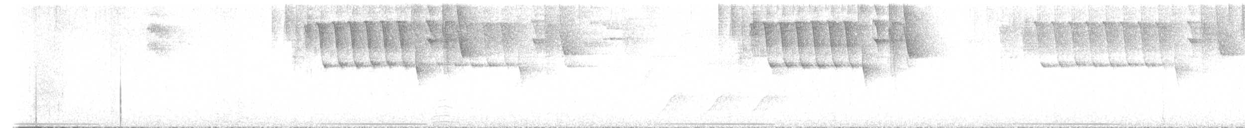 holub pruholící - ML581727431