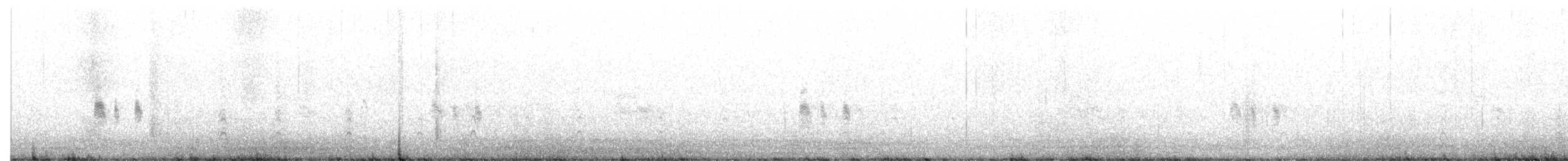 Antillennachtschwalbe - ML581732241