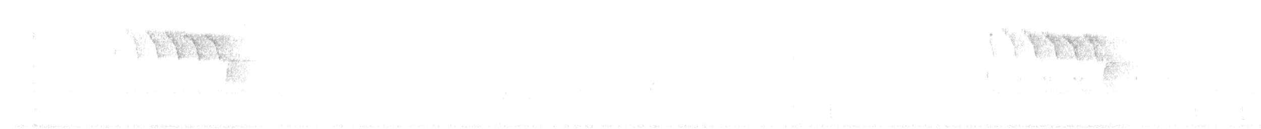 American Redstart - ML581759691