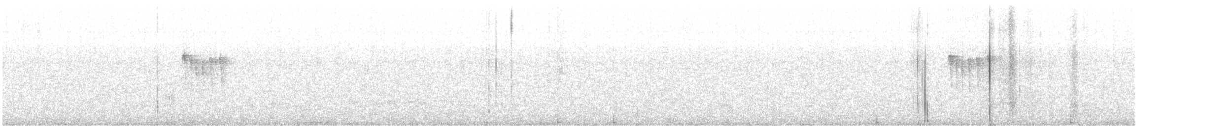 Weißscheitel-Kleintyrann - ML581769781