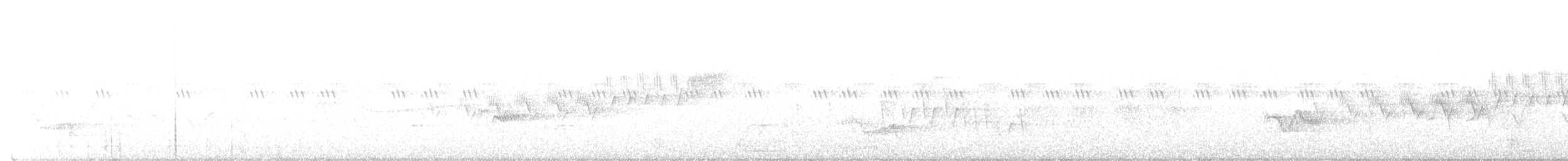 Cerulean Warbler - ML581778931