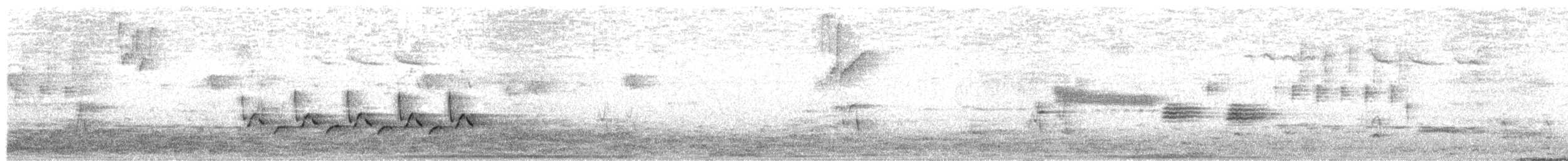 Carolina Wren - ML581781661