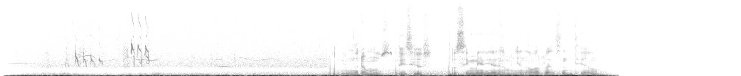 kortnebbekkasinsnipe - ML58178971