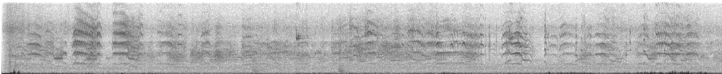 Common Tern - ML581797111
