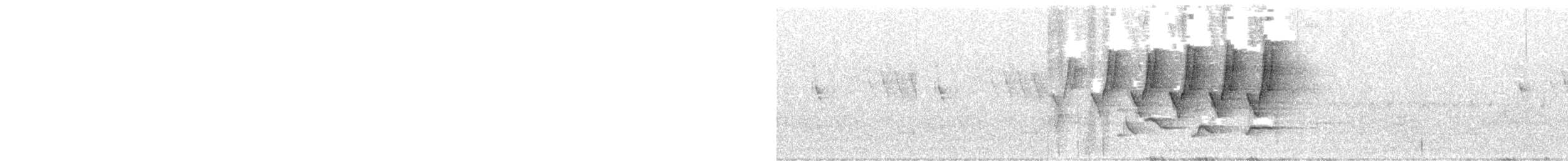Reinita Protonotaria - ML581800271