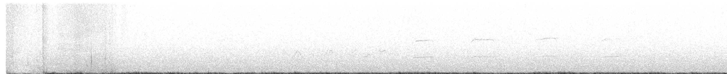 Яструб неоарктичний [група velox] - ML581811931
