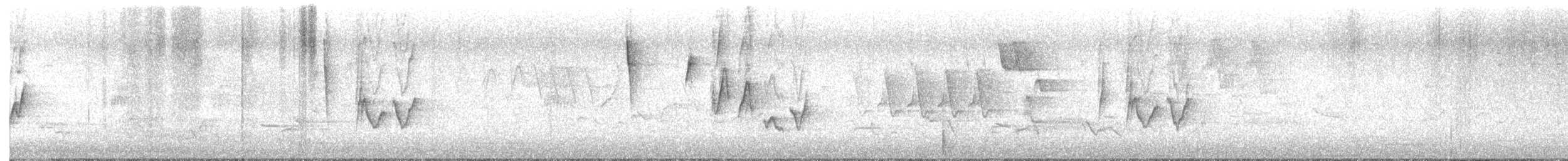 Philadelphia Vireo - ML581832861