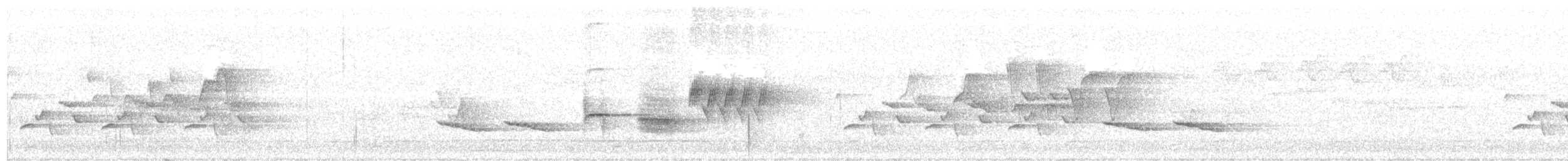 Troglodyte de Caroline - ML58184831