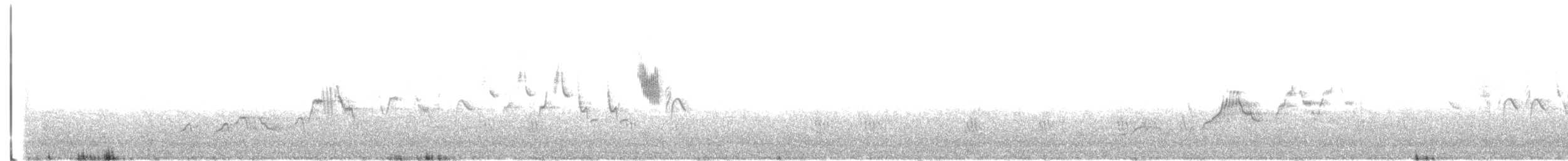 Дрізд-короткодзьоб Cвенсона - ML581877671