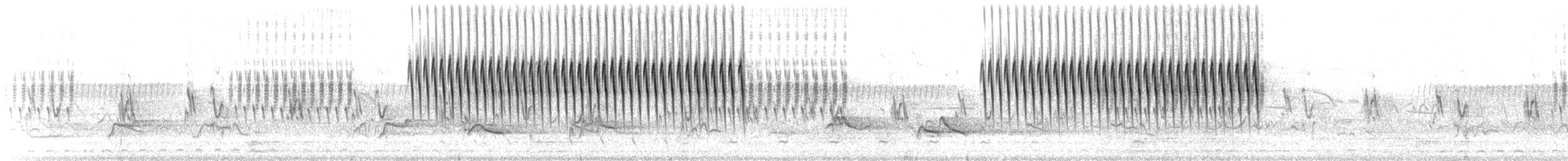 Schwirrammer - ML581895011