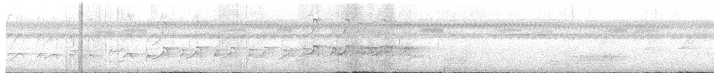 Swallow-tailed Kite - ML581925041