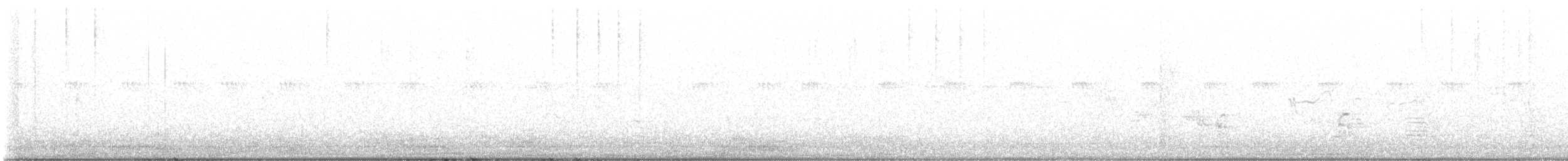 Buse à queue rousse (calurus/alascensis) - ML581926301