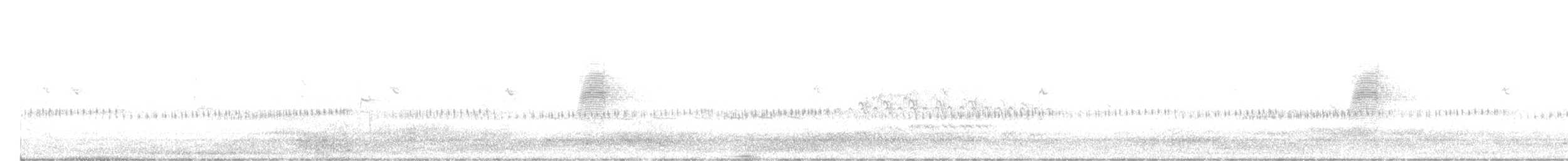 American Woodcock - ML581934391