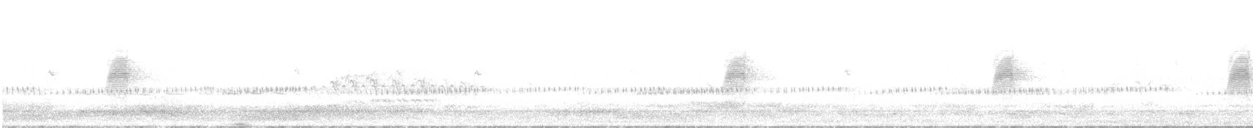 American Woodcock - ML581934901